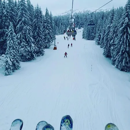 Vistanova N Lux 43 Za 4 Osobe Sa Pogledom * Kopaonik